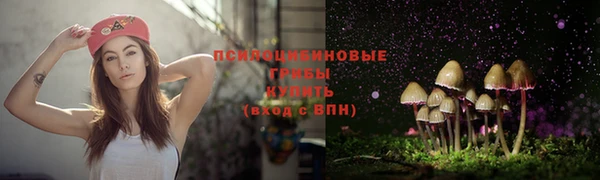 альфа пвп Верхнеуральск