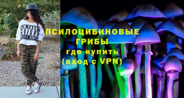 ALPHA PVP Верея