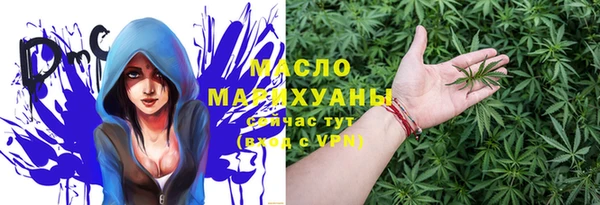 амф Верхний Тагил