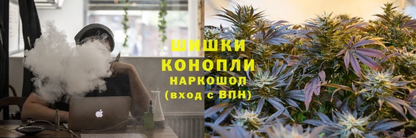 амф Верхний Тагил