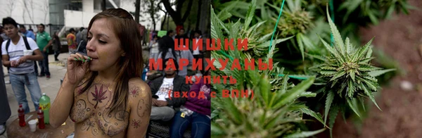 амф Верхний Тагил