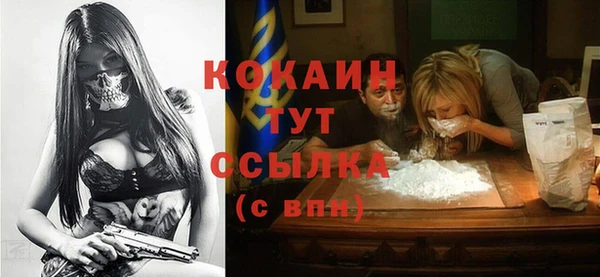амф Верхний Тагил