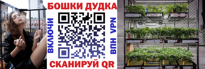 Шишки марихуана AK-47  как найти закладки  Ядрин 